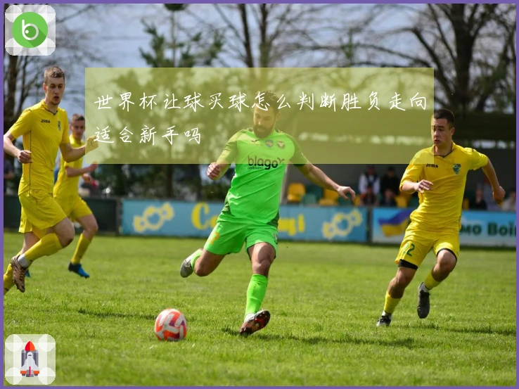 世界杯让球买球怎么判断胜负走向适合新手吗